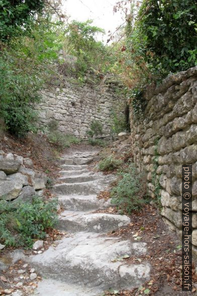 Marches taillés dans la roche-mère à Oppède-le-Vieux. Photo © Veronika Schnablegger