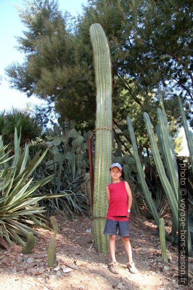 Nicolas et un saguaro. Photo © Alex Medwedeff