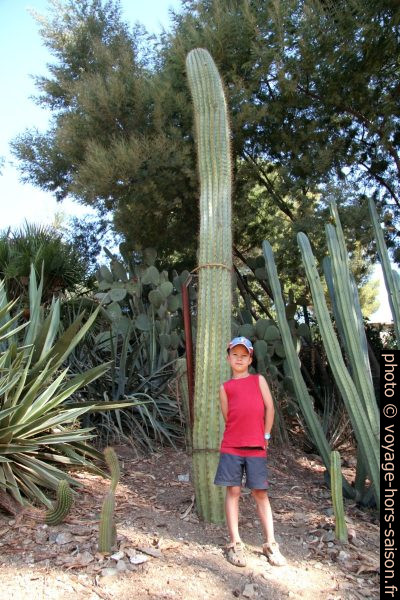 Nicolas et un saguaro. Photo © Alex Medwedeff