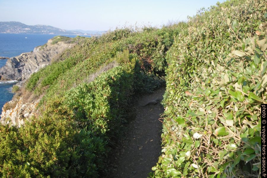 Sentier du littoral sur la Presqu'île de Giens. Photo © André M. Winter