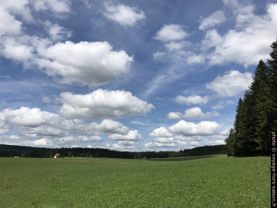 Prés des Seignes à l'est de Gilley. Photo © Alex Medwedeff