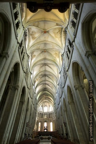 Voûte de l'église abbatiale de St. Antoine. Photo © Alex Medwedeff