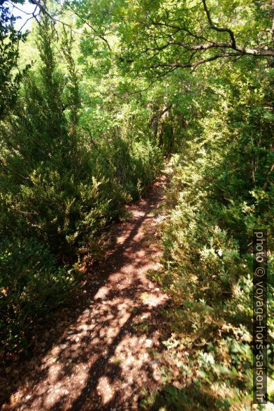 Chemin aux environs de Montuery. Photo © André M. Winter