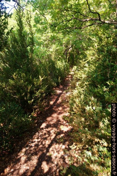 Chemin aux environs de Montuery. Photo © André M. Winter