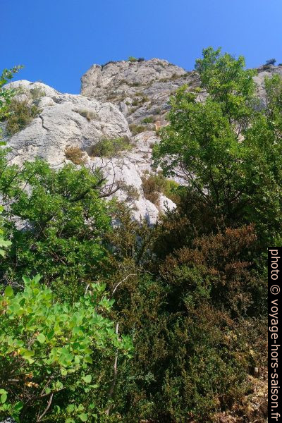 Vue vers la crête sommitale de la Montagne de la Baume. Photo © André M. Winter