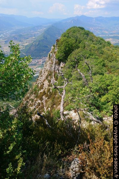 Crête ouest de la Montagne de la Baume. Photo © André M. Winter