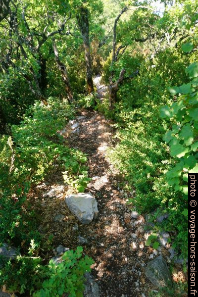 Chemin sur la crête de la Montagne de la Baume. Photo © André M. Winter