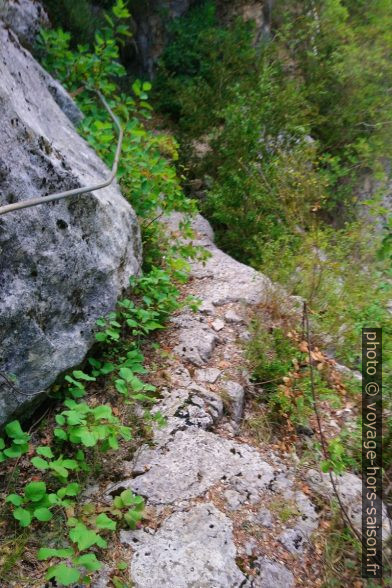 Chemin sur une strate calcaire et main courante. Photo © André M. Winter