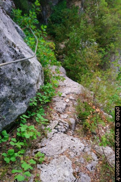 Chemin sur une strate calcaire et main courante. Photo © André M. Winter