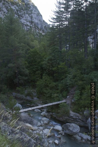 Passerelle au carrefour des gorges. Photo © Alex Medwedeff