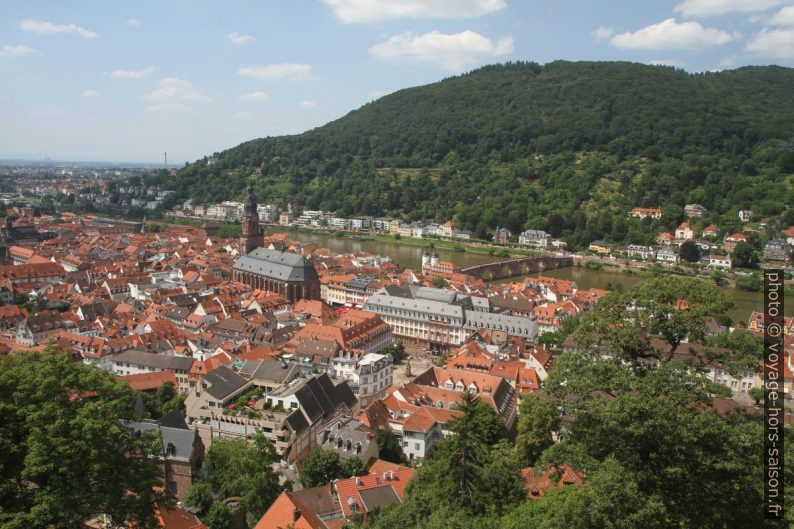 Vue sur le centre de Heidelberg. Photo © Alex Medwedeff