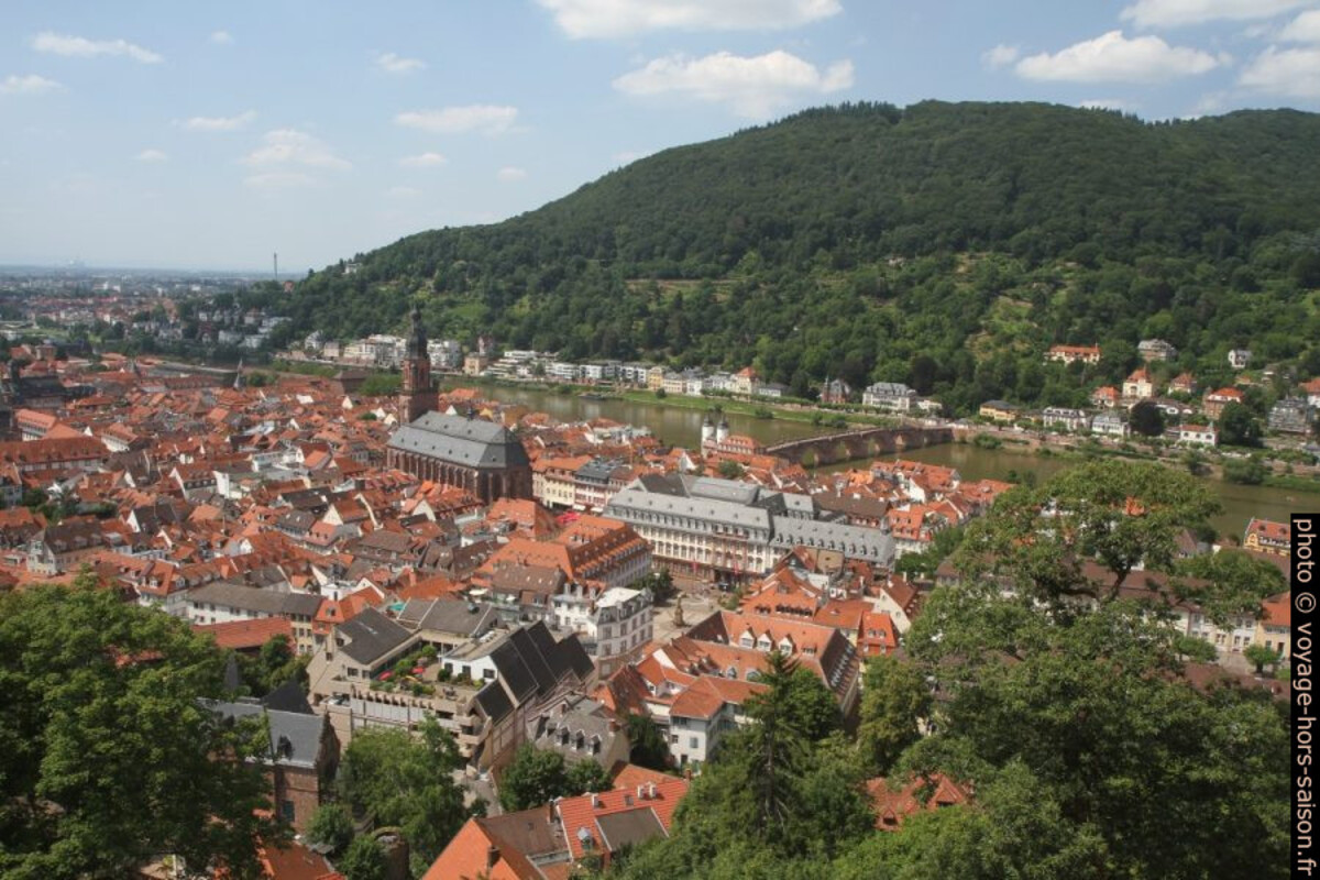 Vue sur le centre de Heidelberg. Photo © Alex Medwedeff
