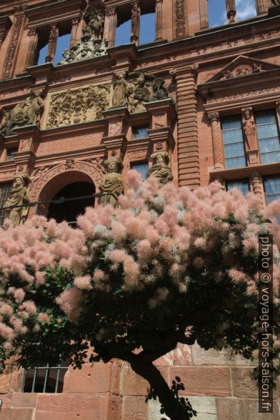 Façade du Ottheinrichsbau. Photo © André M. Winter