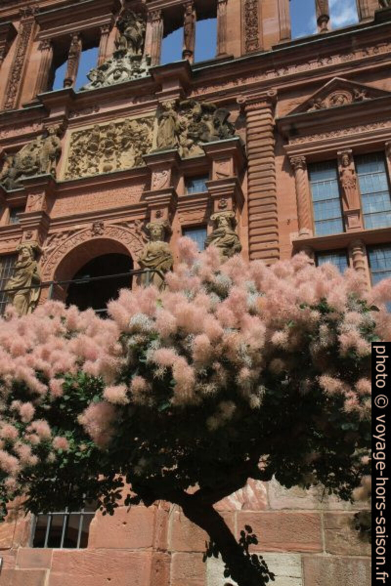 Façade du Ottheinrichsbau. Photo © André M. Winter