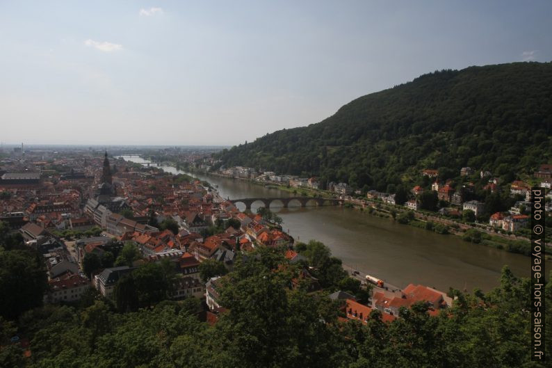 Heidelberg vu du château. Photo © Alex Medwedeff