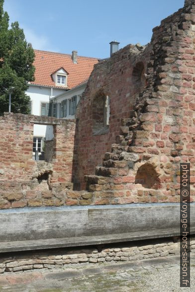 Ruine de l'ancienne Synagogue de Speyer. Photo © Alex Medwedeff