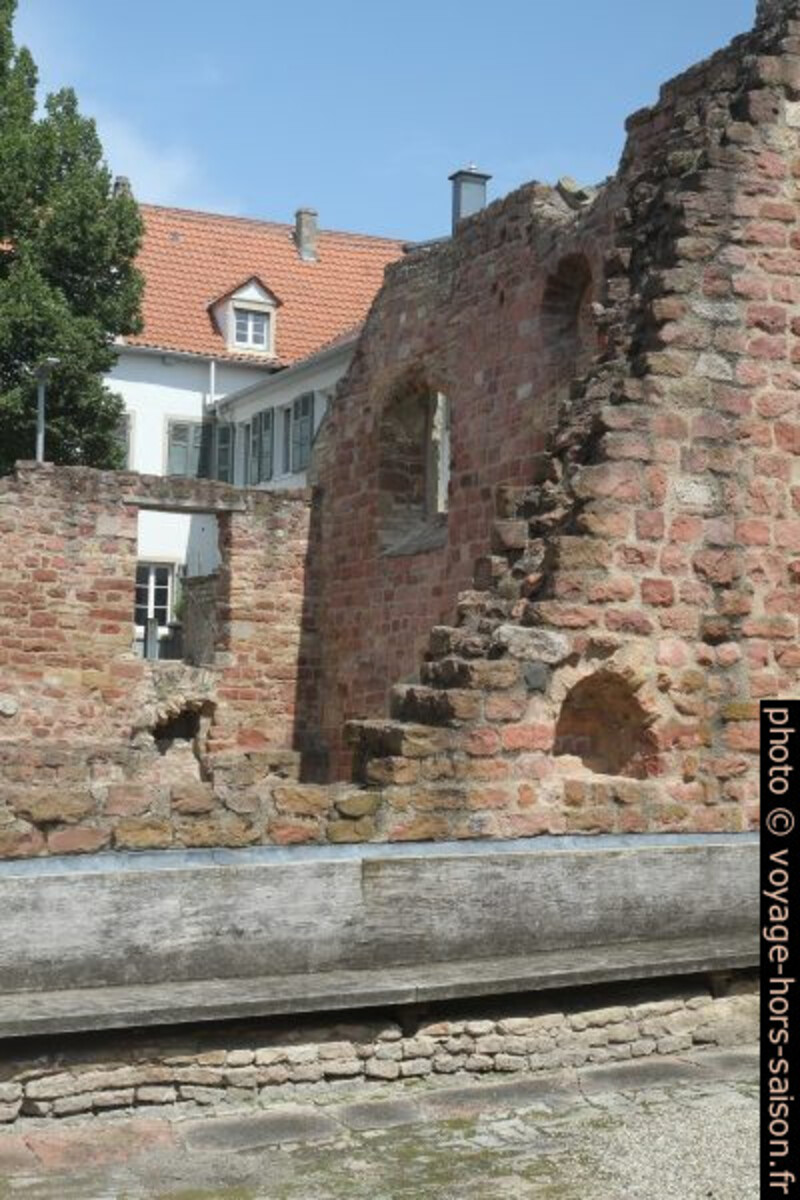 Ruine de l'ancienne Synagogue de Speyer. Photo © Alex Medwedeff
