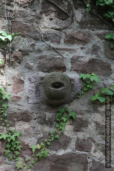 Une gueule effrayante sur le château arrière de Neuenbürg. Photo © Alex Medwedeff