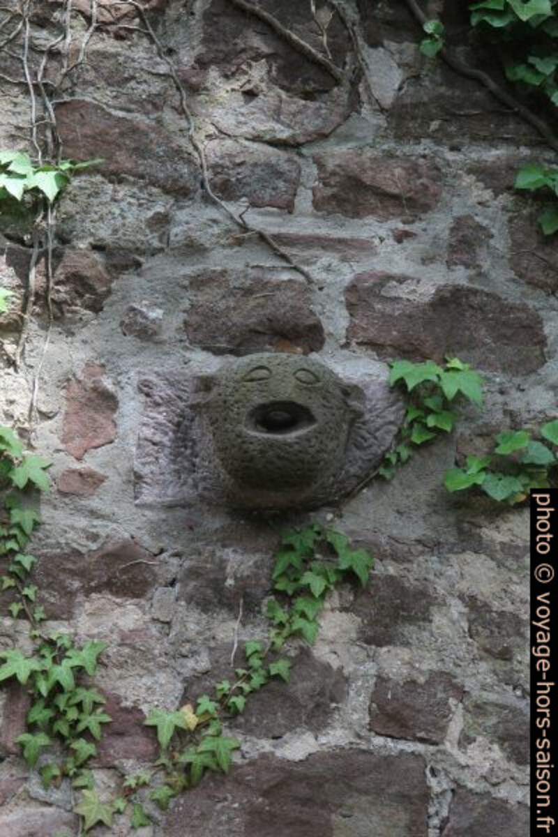 Une gueule effrayante sur le château arrière de Neuenbürg. Photo © Alex Medwedeff
