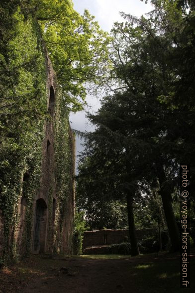 Le château arrière de Neuenbürg. Photo © Alex Medwedeff