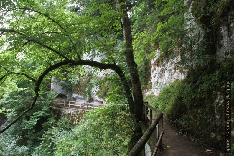 Chemins dans les falaises au bord du Danube. Photo © Alex Medwedeff