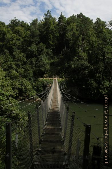 Le pont suspendu de 2019. Photo © Alex Medwedeff