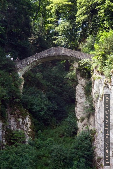 Le pont du diable du parc paysager princier d'Inzigkofen. Photo © Alex Medwedeff