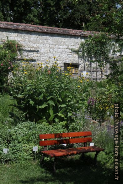 Dans le jardin des senteurs. Photo © Alex Medwedeff