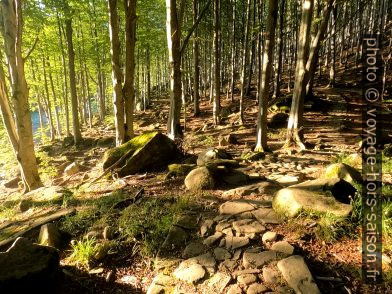 Chemin pavé de pierres naturelles. Photo © André M. Winter