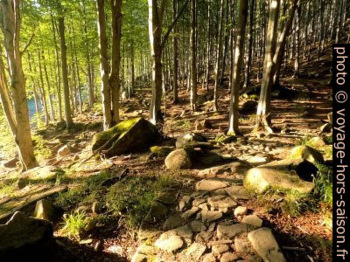Chemin pavé de pierres naturelles. Photo © André M. Winter