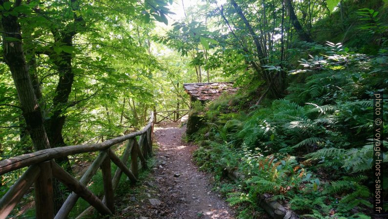 Le chemin qui monte de Vagli Sopra vers Campocatino. Photo © André M. Winter