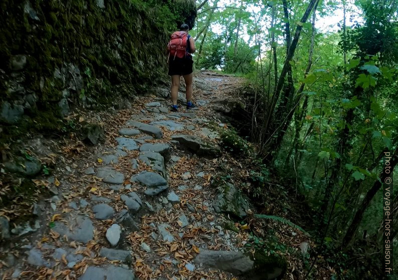 Alex sur le chemin pavé sortant du Fosso di Rivillese. Photo © André M. Winter