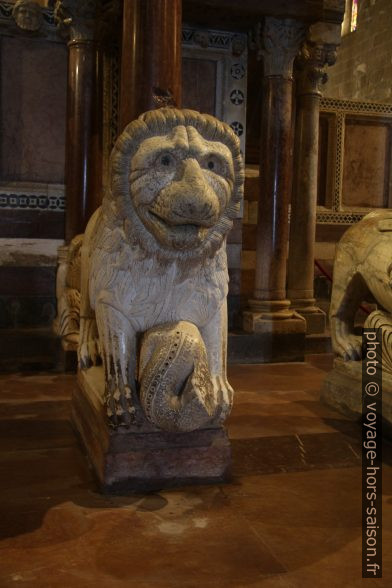 Lion gauche sous la chaire de marbre de la cathédrale de Barga. Photo © André M. Winter