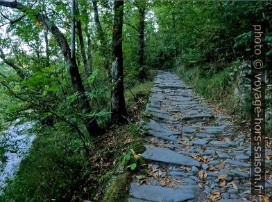 Chemin pavé entre Stazzema et la Casa Giorgini. Photo © André M. Winter