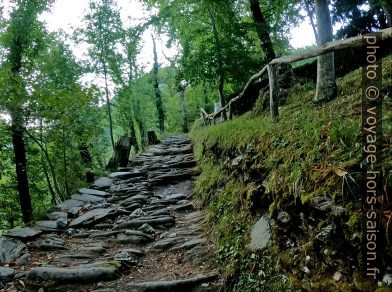 Le chemin pavé montant de Stazzema. Photo © André M. Winter