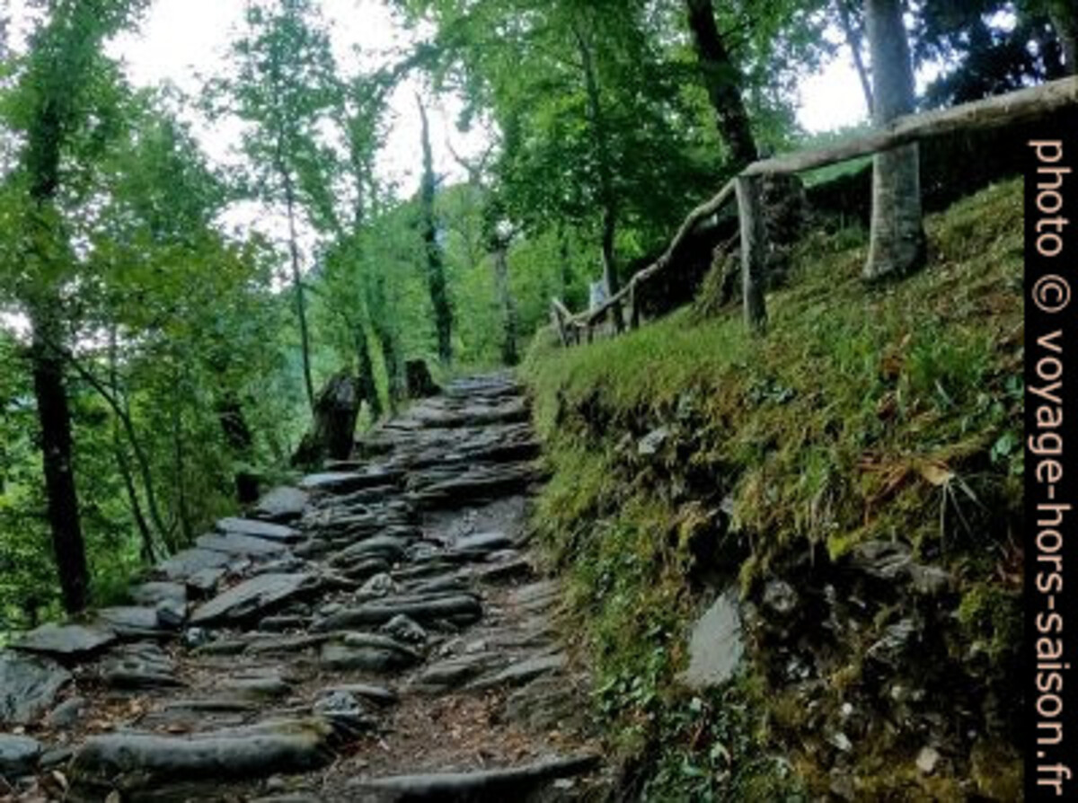 Le chemin pavé montant de Stazzema. Photo © André M. Winter