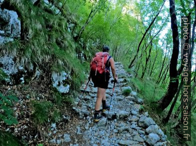 Montée sur un vieux sentier dallé. Photo © André M. Winter