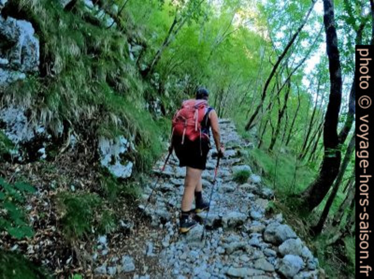 Montée sur un vieux sentier dallé. Photo © André M. Winter