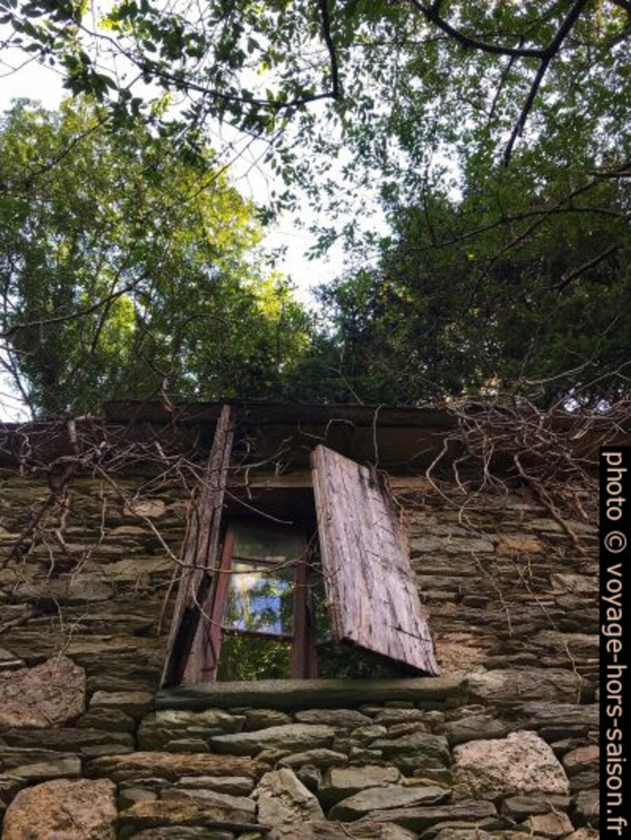 Fenêtre et contrevent d'une maison sans toit. Photo © Alex Medwedeff