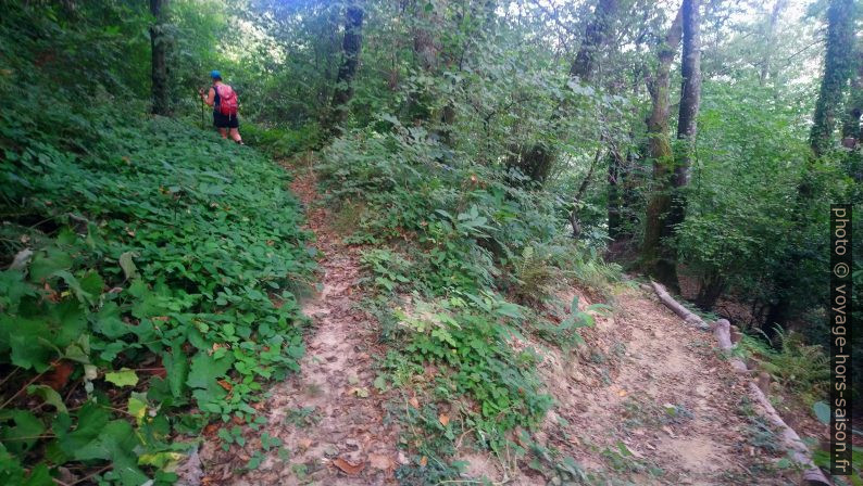 Début de de l'ancien sentier ex-3 sous le Monte Gegoli. Photo © André M. Winter