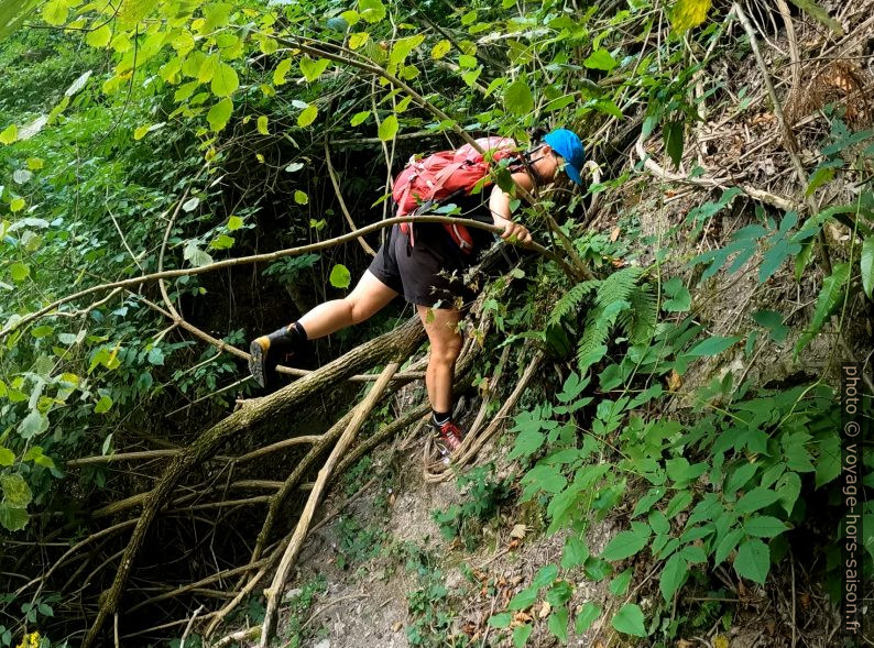 Chemin glissé entre Branches sur l’ancien sentier ex-3 entre la Foce di San Rocchino et Farnocchia. Photo © André M. Winter