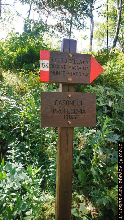 Poteau indicateur en bois. Photo © André M. Winter