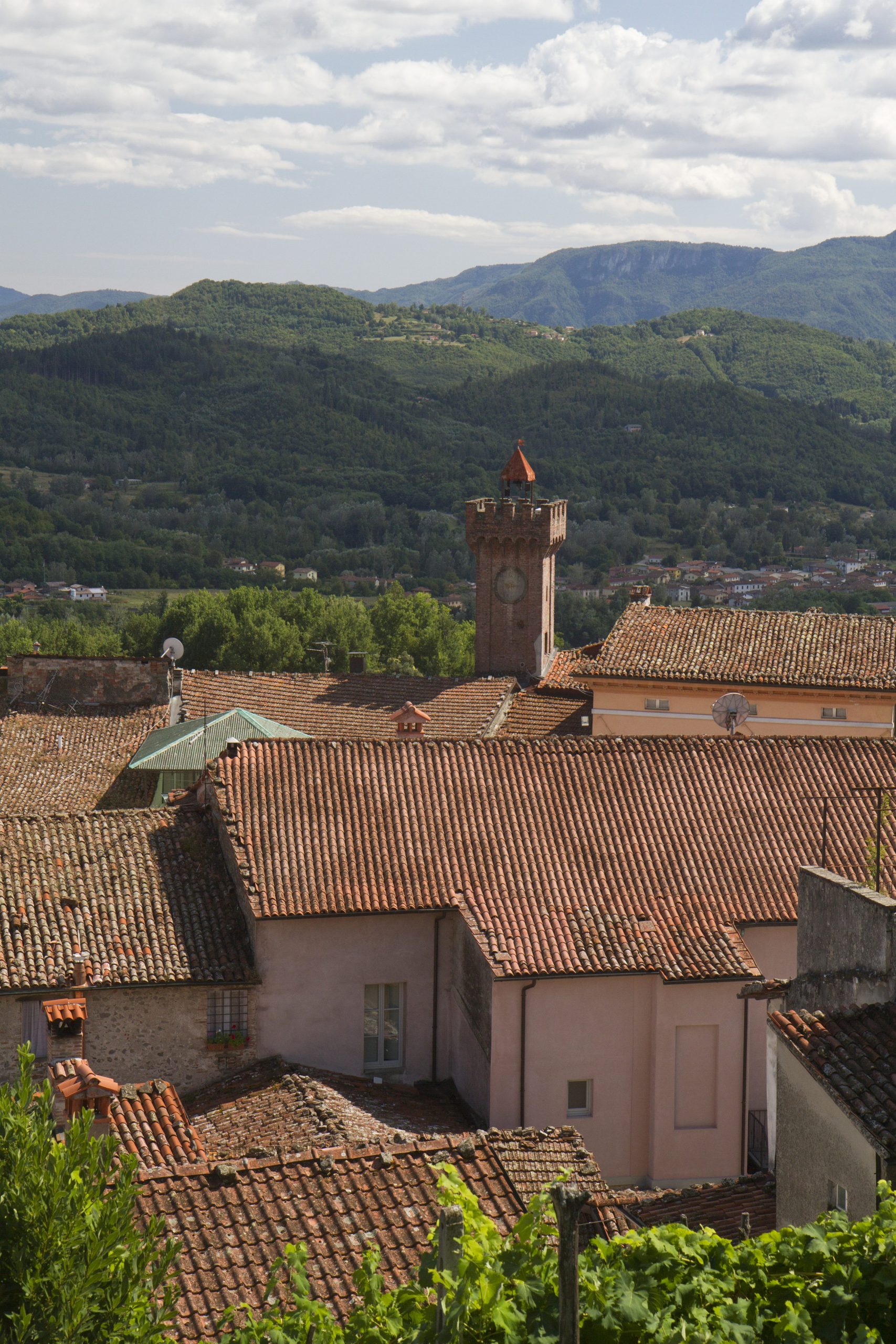 Tour de la Porte Ponte Levatoio. Photo © Alex Medwedeff