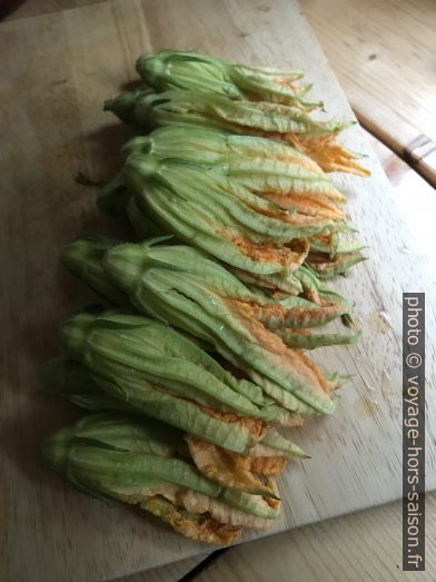 Grandes fleurs de courgettes. Photo © Alex Medwedeff