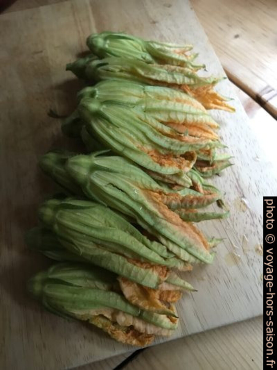 Grandes fleurs de courgettes. Photo © Alex Medwedeff