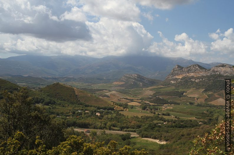 Vignobles dans le vallon de Brietta. Photo © Alex Medwedeff