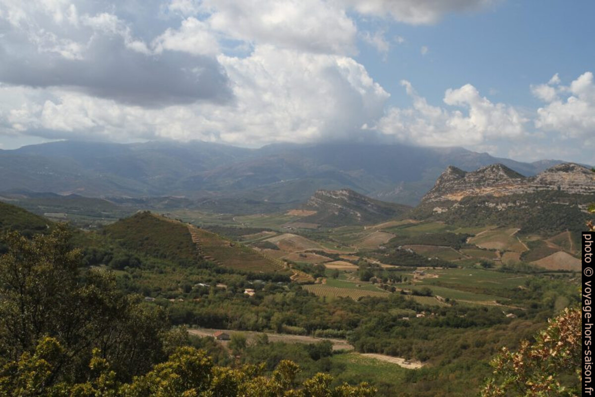 Vignobles dans le vallon de Brietta. Photo © Alex Medwedeff