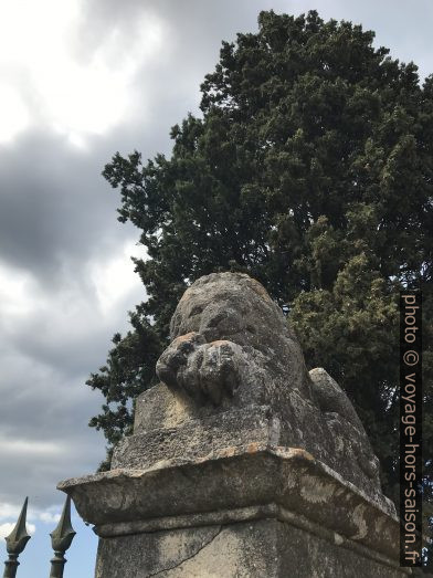 Lion sur le portail de la chapelle mortuaire. Photo © Alex Medwedeff