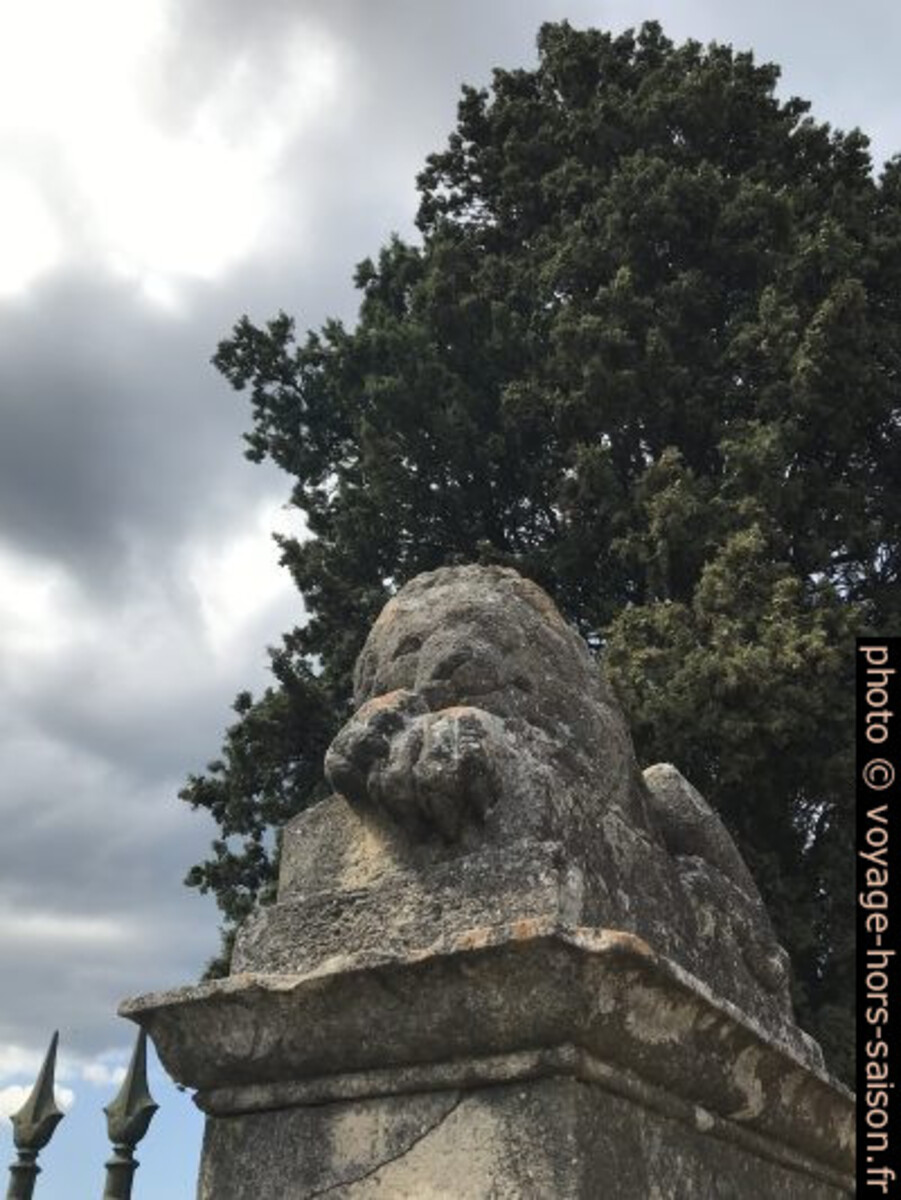 Lion sur le portail de la chapelle mortuaire. Photo © Alex Medwedeff