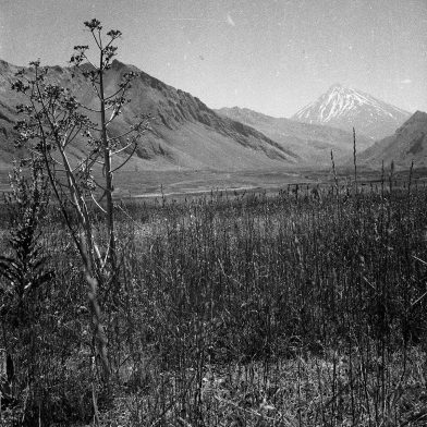 La vallée du Lar et le Damavand en 1935. Photo par Annemarie Schwarzenbach